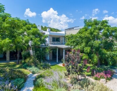 Villa Ormos Sea View